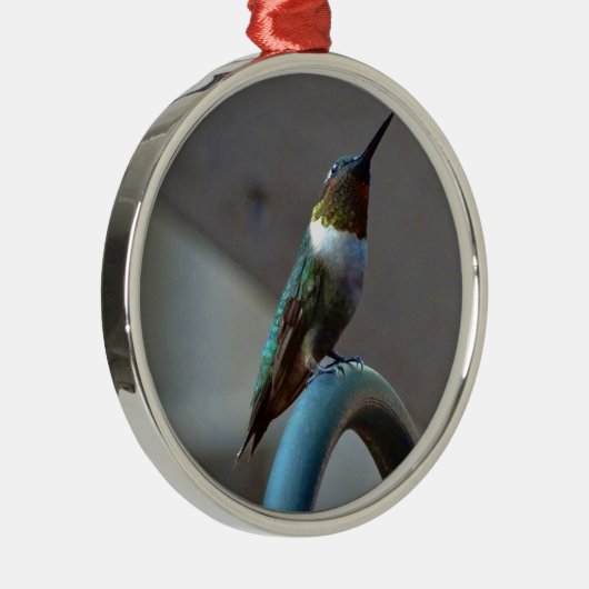 Groene Ruby kleine Hummingbird Metalen Ornament (Rechts)