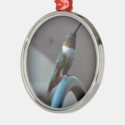 Groene Ruby kleine Hummingbird Metalen Ornament (Links)
