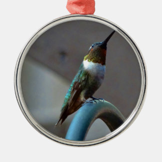 Groene Ruby kleine Hummingbird Metalen Ornament