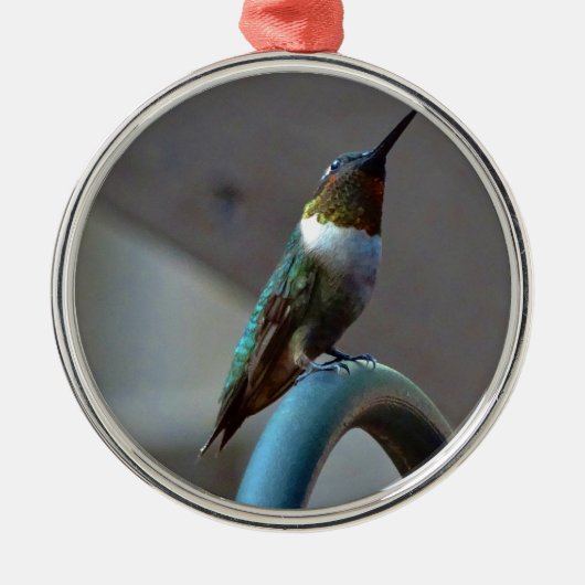Groene Ruby kleine Hummingbird Metalen Ornament (Voorkant)