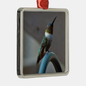 Groene Ruby kleine Hummingbird Metalen Ornament (Rechts)