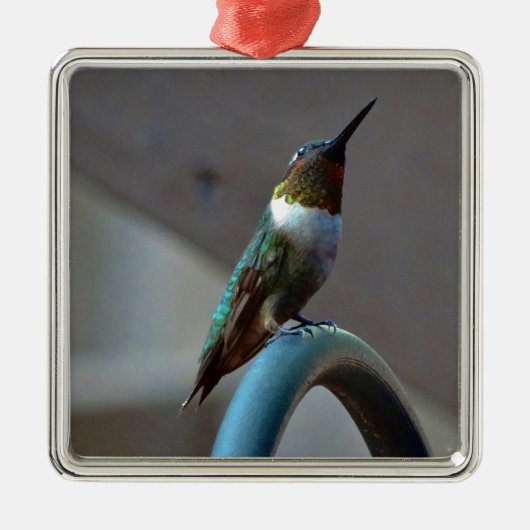 Groene Ruby kleine Hummingbird Metalen Ornament (Voorkant)