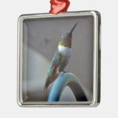 Groene Ruby kleine Hummingbird Metalen Ornament (Links)
