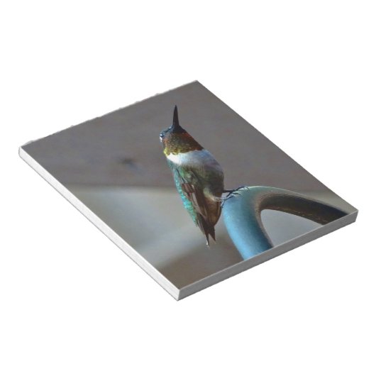 Groene Ruby kleine Hummingbird Notitieblok (Schuin)