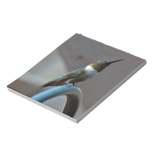 Groene Ruby kleine Hummingbird Notitieblok (Linkerzijde)