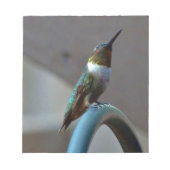 Groene Ruby kleine Hummingbird Notitieblok (Voorkant)