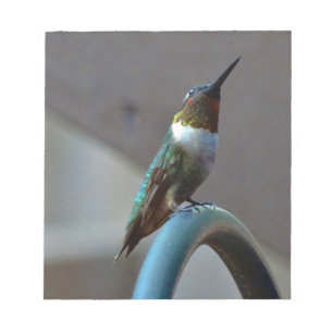 Groene Ruby kleine Hummingbird Notitieblok