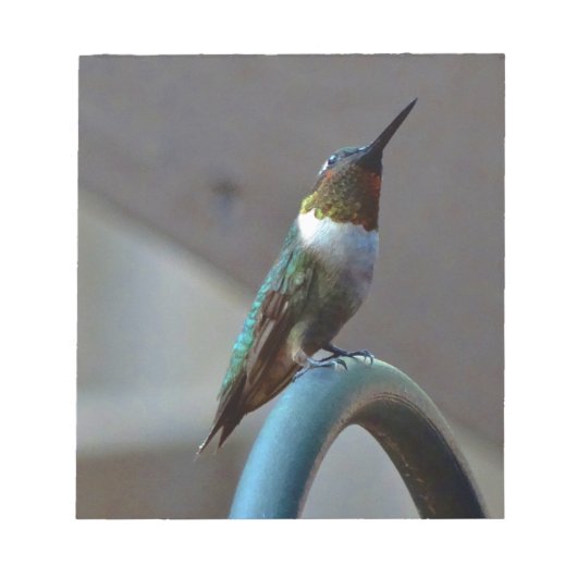 Groene Ruby kleine Hummingbird Notitieblok (Voorkant)