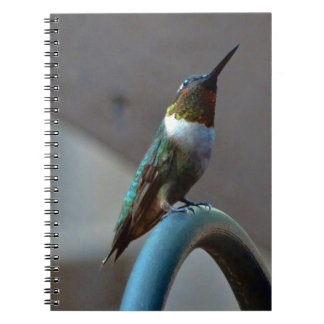 Groene Ruby kleine Hummingbird Notitieboek
