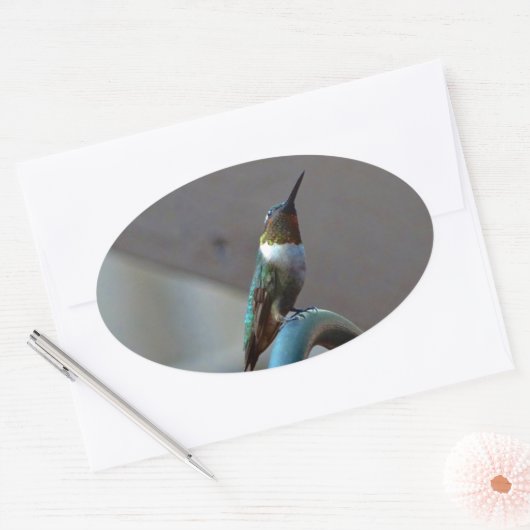Groene Ruby kleine Hummingbird Ovale Sticker (Envelop)