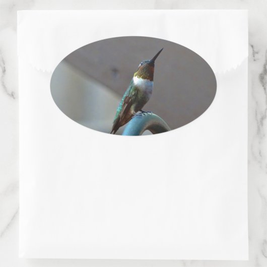 Groene Ruby kleine Hummingbird Ovale Sticker (Tas)