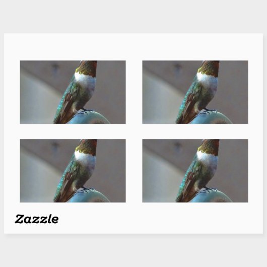 Groene Ruby kleine Hummingbird Rechthoekige Sticker (Vel)