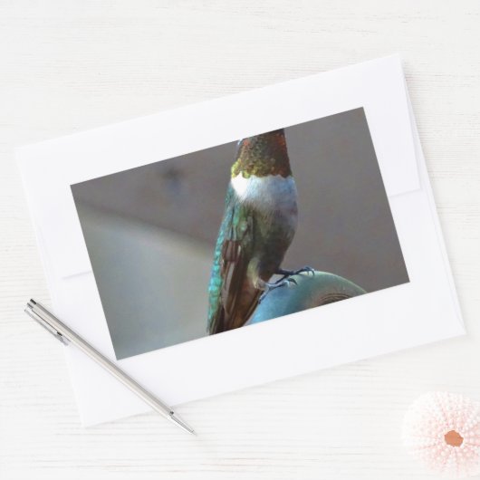 Groene Ruby kleine Hummingbird Rechthoekige Sticker (Envelop)