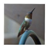 Groene Ruby kleine Hummingbird Tegeltje (Voorkant)