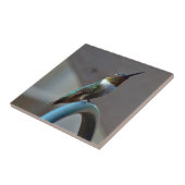 Groene Ruby kleine Hummingbird Tegeltje (Zijkant)