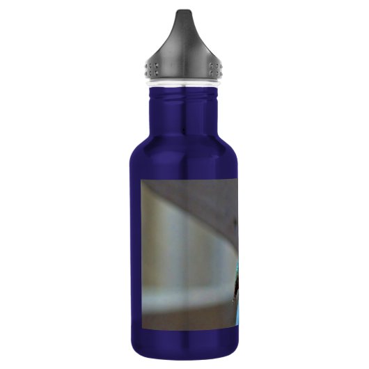 Groene Ruby kleine Hummingbird Waterfles (Links)