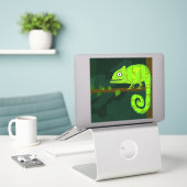 Groene schattige kameleon sticker (Laptop op bureau)