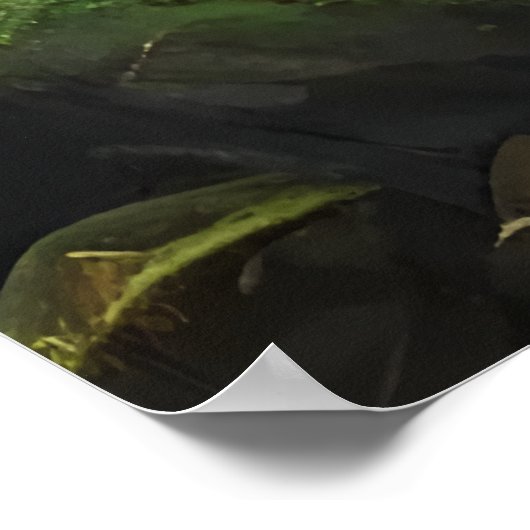 Groene schedel in het bos | AI Art Poster (Hoek)