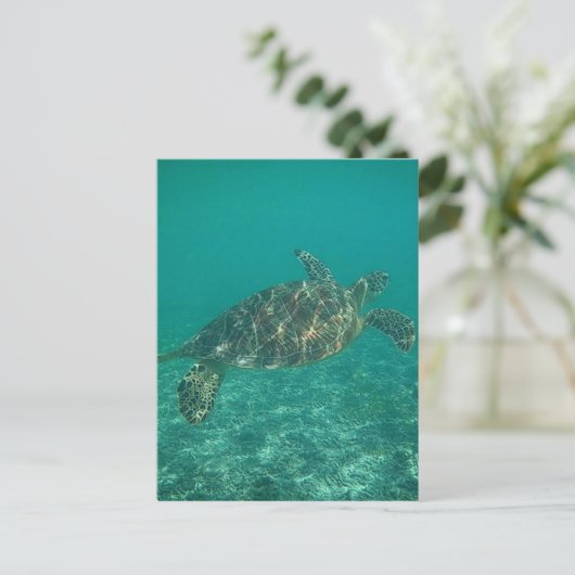 groene schildpad briefkaart (Staand voorkant)