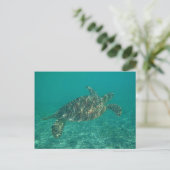 groene schildpad briefkaart (Staand voorkant)
