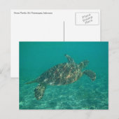 groene schildpad briefkaart (Voorkant / Achterkant)