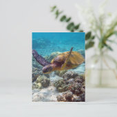 Groene schildpad briefkaart (Staand voorkant)