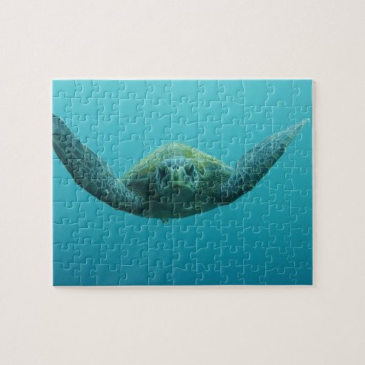 Groene Schildpad (Chelonia mydas agassisi), Centra Legpuzzel (Horizontaal)