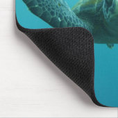 Groene schildpad (Chelonia mydas agassisi), Centra Muismat (Hoek)