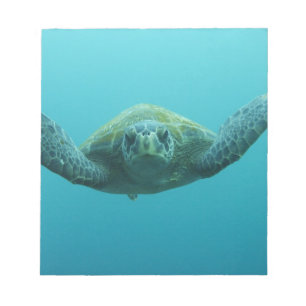 Groene Schildpad (Chelonia mydas agassisi), Centra Notitieblok