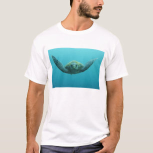 Groene Schildpad (Chelonia mydas agassisi), Centra T-shirt