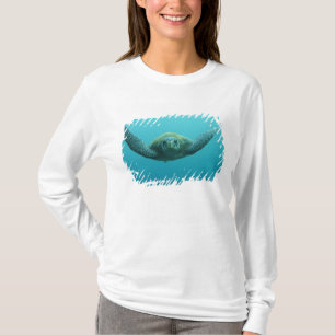 Groene Schildpad (Chelonia mydas agassisi), Centra T-shirt
