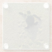 Groene schildpad (Chelonia mydas), broederij Glazen Onderzetter (Achterkant)