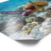 Groene schildpad foto afdruk (Hoek)