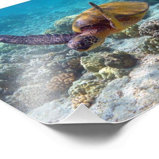 Groene schildpad foto afdruk (Hoek)