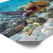 Groene schildpad poster (Hoek)