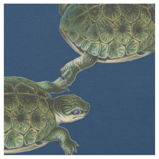 Groene schildpad stof (Close Up)