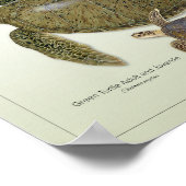 Groene Schildpad Volwassen en Juveniele Print (Hoek)