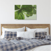 Groene Shamrock bladeren collage Canvas Afdruk (Insitu (Slaapkamer))