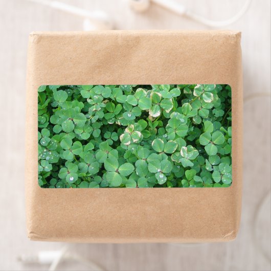 Groene shamrocks Blank Labels (Insitu)