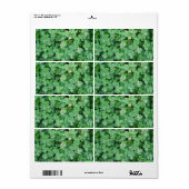 Groene shamrocks Blank Labels (Full Sheet)