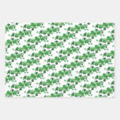 Groene Shamrocks & Daisies elke gelegenheid Inpakpapier Vel (Voorkant)