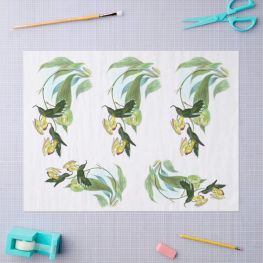  groene sikkel Bill Hummingbird-ontvlechting Tissuepapier (Craft)