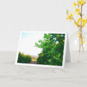 Groene Sinaasappels op Tree Kaart (Gele Bloem)