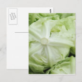 Groene sla briefkaart (Voorkant / Achterkant)