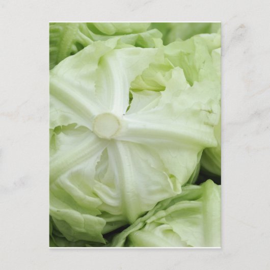 Groene sla briefkaart (Voorkant)