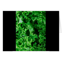 Groene Sla Close Up Uniek