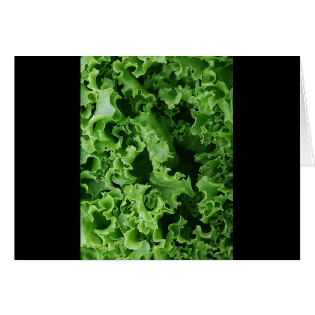 Groene Sla Close Up Uniek (Voorkant Horizontaal)