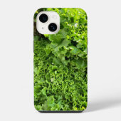 Groene sla liefde iPhone hoesje (Achterkant)
