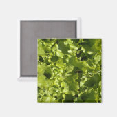 Groene sla magneet (Voorkant / Achterkant)