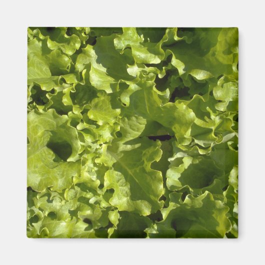Groene sla magneet (Voorkant)